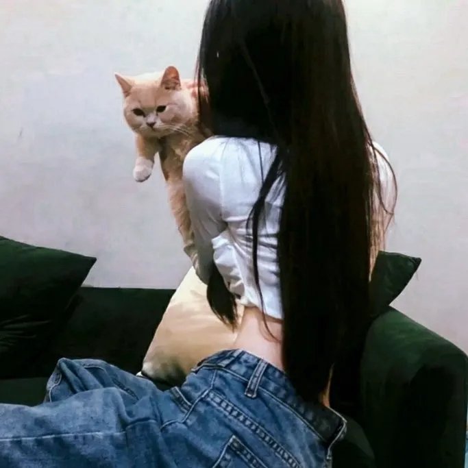 惊天妙贼